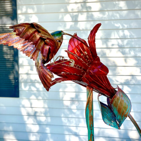 Hummingbird on Trumpet Lily